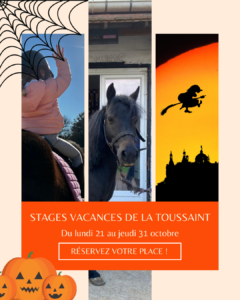 STAGES VACANCES DE LA TOUSSAINT 2024